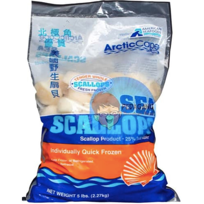 

Scallop Us / 2,27 Kg / Kerang Laut / Kerang Kampak