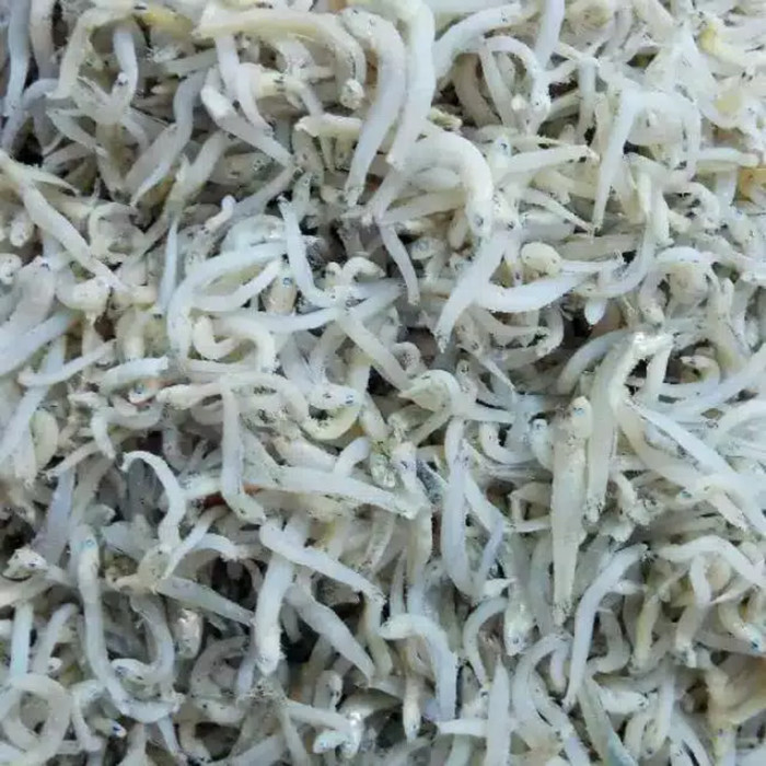 

Teri Nasi Toge Asli 500