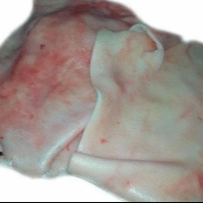 

Pork Skin/Kulit Babi