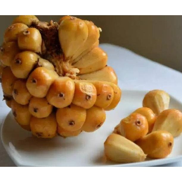 

READY STOCK BUAH HONJE SEGAR 1KG MATANG DAN MUDA ROMBEH KECOMBRANG COMBRANG !!!!!