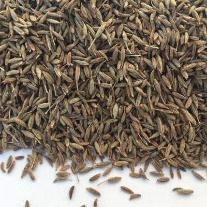 

Cumin Seed 1Kg / Biji Jinten Terlaris