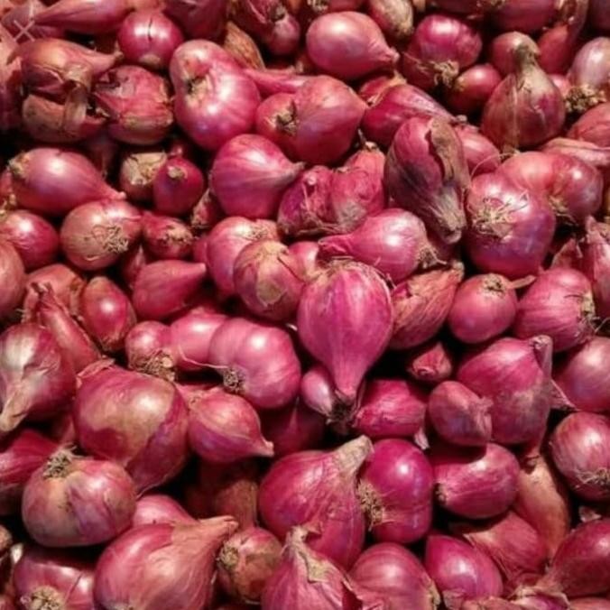 

bawang merah brebes