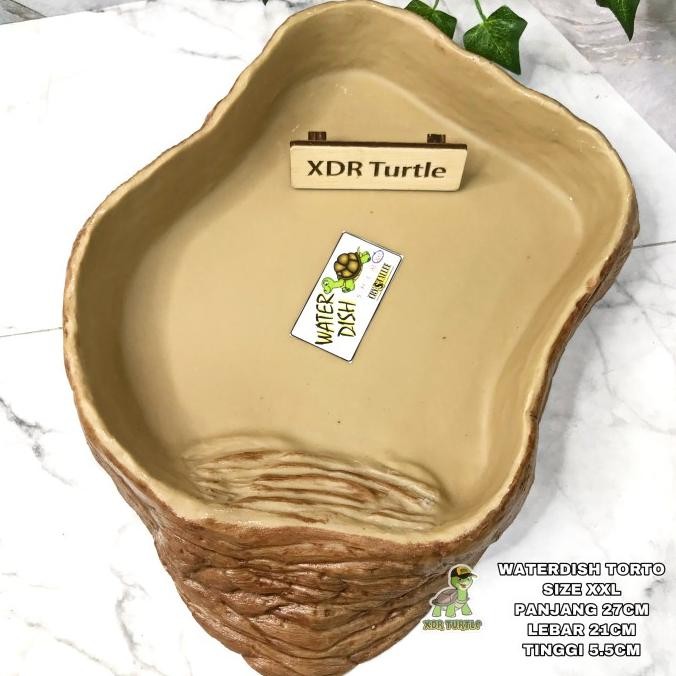 WATER DISH TORTO JUMBO XXL BESAR KOKOH ALDABRA SULCATA PARDALIS KURA