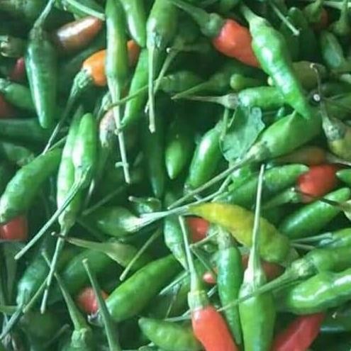 

Cabe Rawit Hijau/Sambal Hijau 1Kg