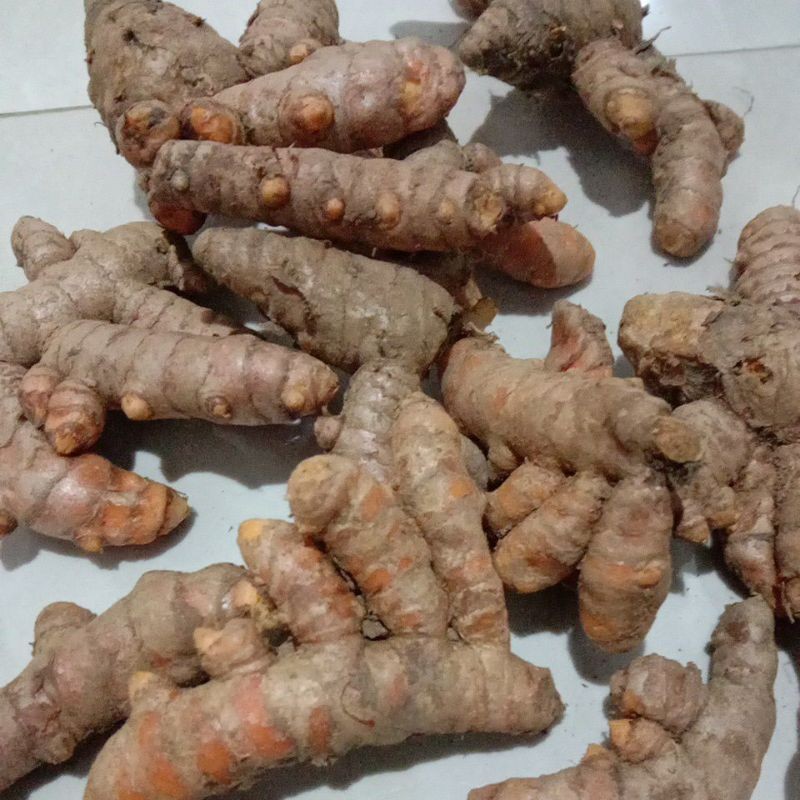 

KUNYIT KUNIR KONENG SEGAR FRESH JAMU BUMBU MASAK DAPUR 5 KG