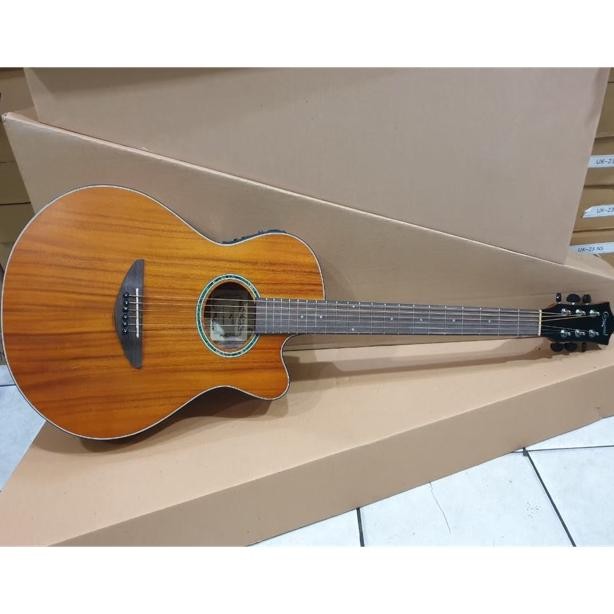 Gi Akustik Elektrik Merk Camwood Tipe IWC-38 NSK Equalizer EQ-7545 Solid Senar String