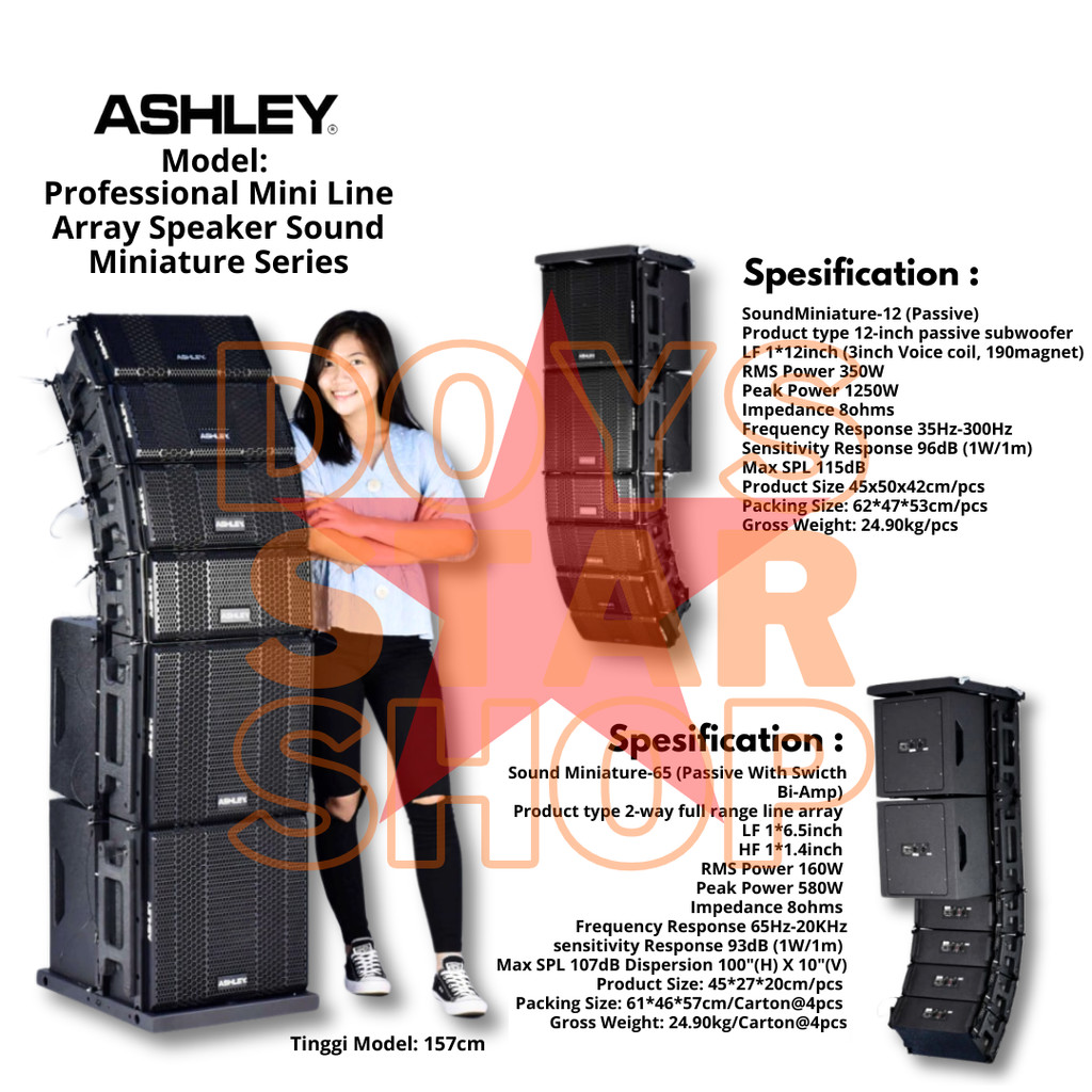 ORIGINAL ASHLEY PAKET PROFESSIONAL MINI LINE ARRAY SPEAKER SOUND MINIATURE SERIES