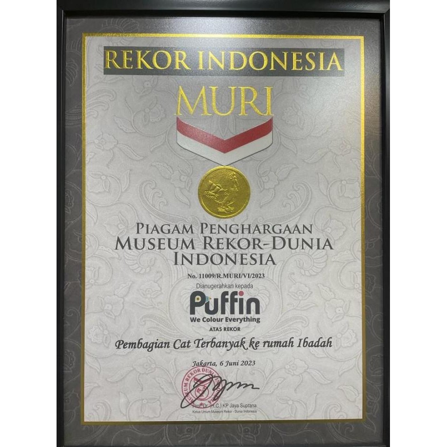 Cat Plafon Nucolour ceiling 25 kg - cat gipsum putih