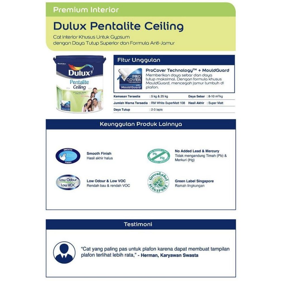 CAT PLAFON DULUX PENTALITE CEILING - 25 KG