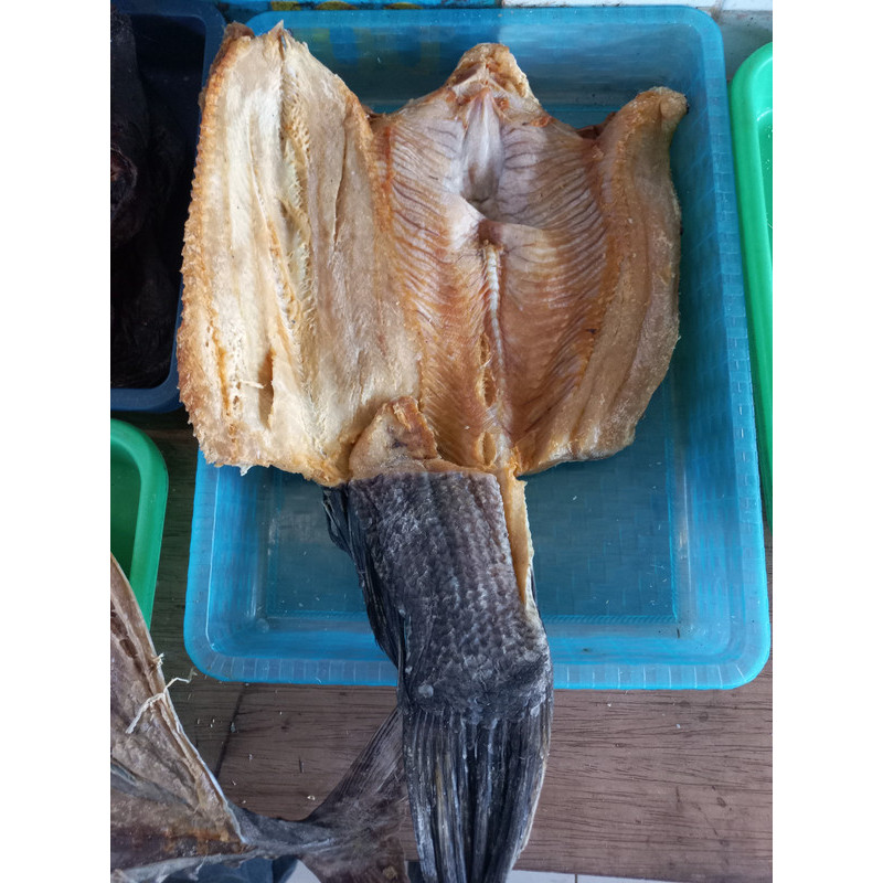 

Ikan asin gabus besar 250 gr