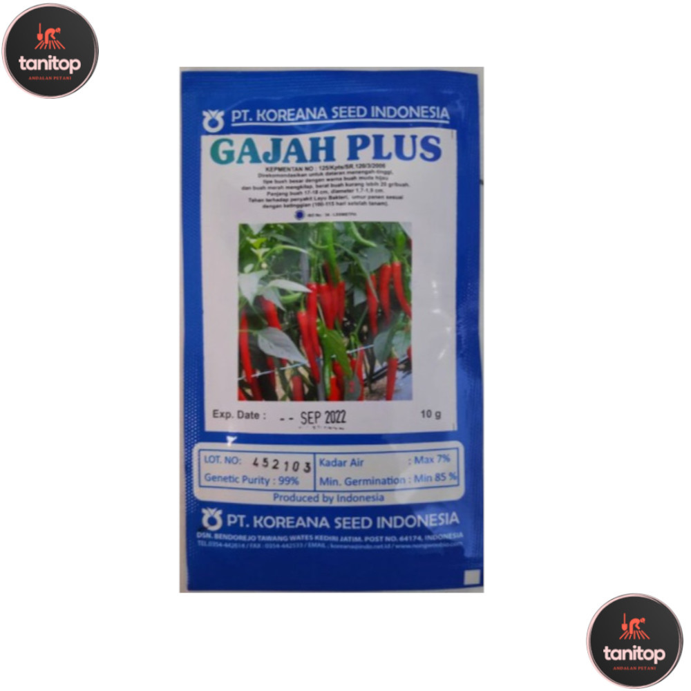 Benih Cabe Besar Hibrida Gajah Plus 10 Gram