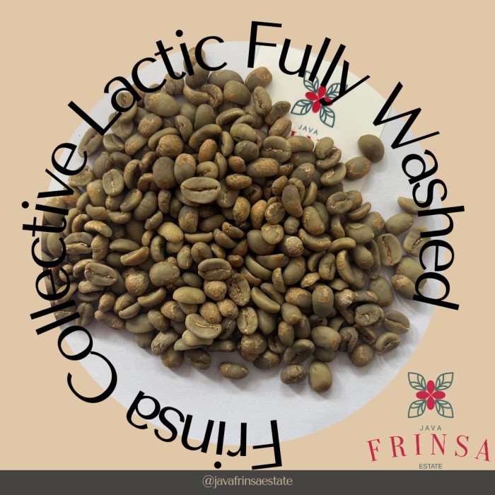 

Greenbean Arabika Frinsa Collective Lactic Fully Washed