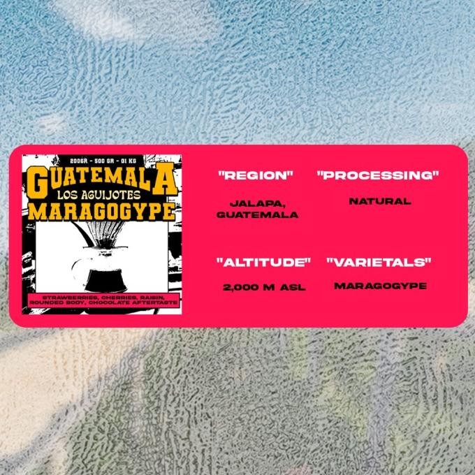 

Biji Kopi Arabika - Guatemala Maragogype Los Aguijotes - 500 Gr