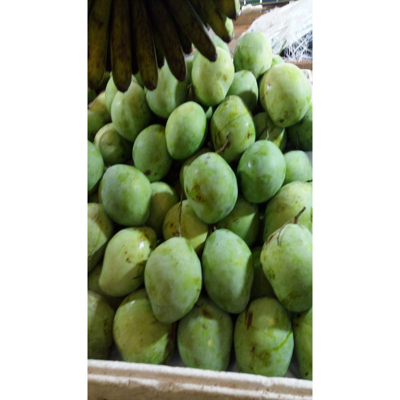 

Mangga indramayu 500 gr