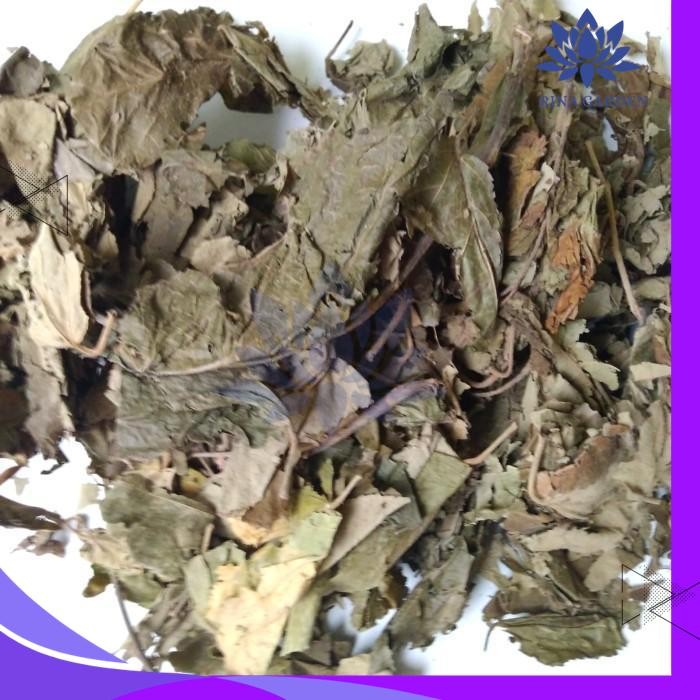 

DAUN JATI BELANDA KERING 500GR TERBAIK