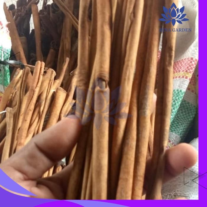 

KAYU MANIS UTUH STIK 1KG / CINNAMON STICK KUALITAS BAGUS PRODUK TERBAIK