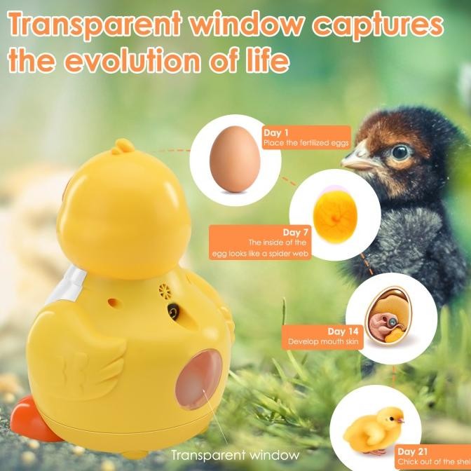 Mesin Penetas Telur Otomatis Mini 6 Butir Egg Incubator Inkubator