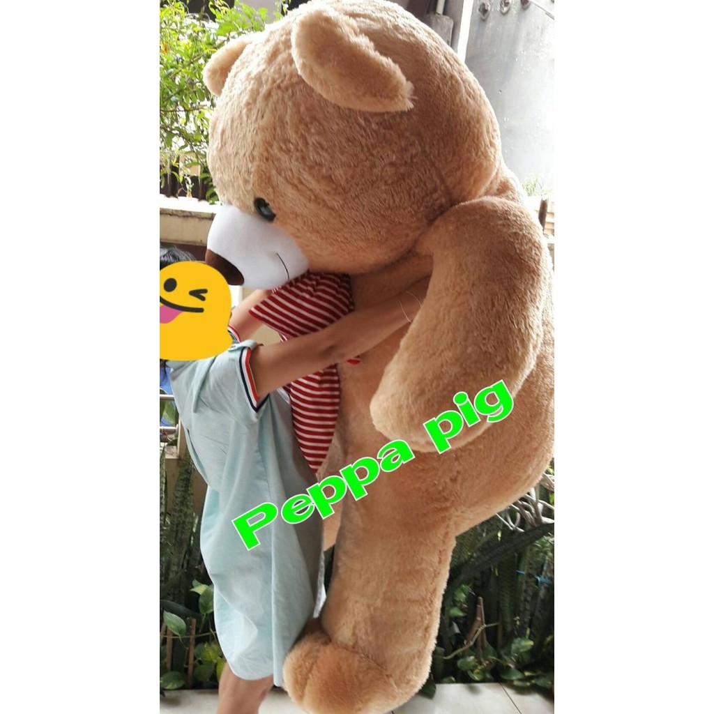boneka teddy bear super besar 2 meter