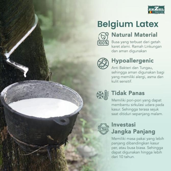 Kasur Latex Enzel Classic Uk 160x200
