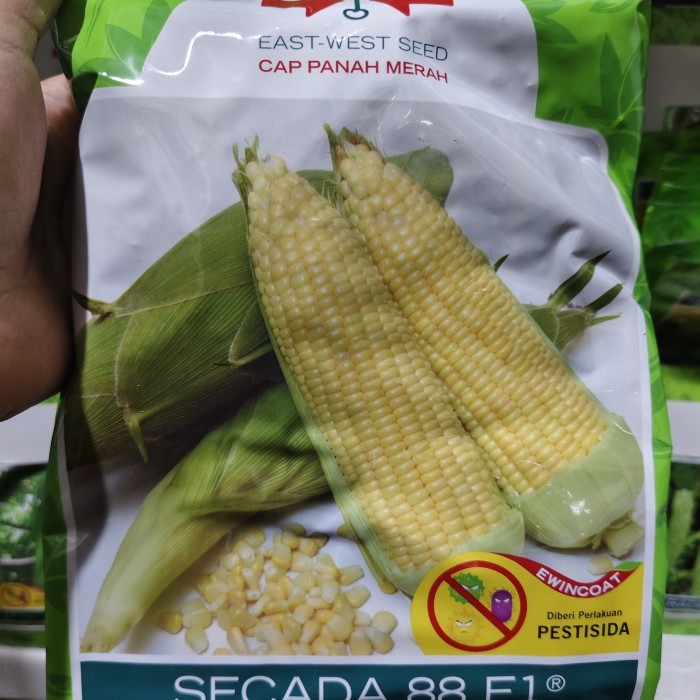 benih jagung manis SECADA F1 1800 butir dari panah merah secada 200 gr
