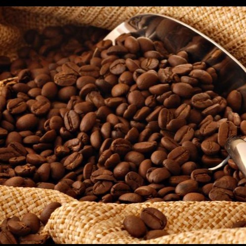 

Kopi Luwak Liar Wild Civet Coffee Biji/Bubuk Beans/Ground 200 Gr