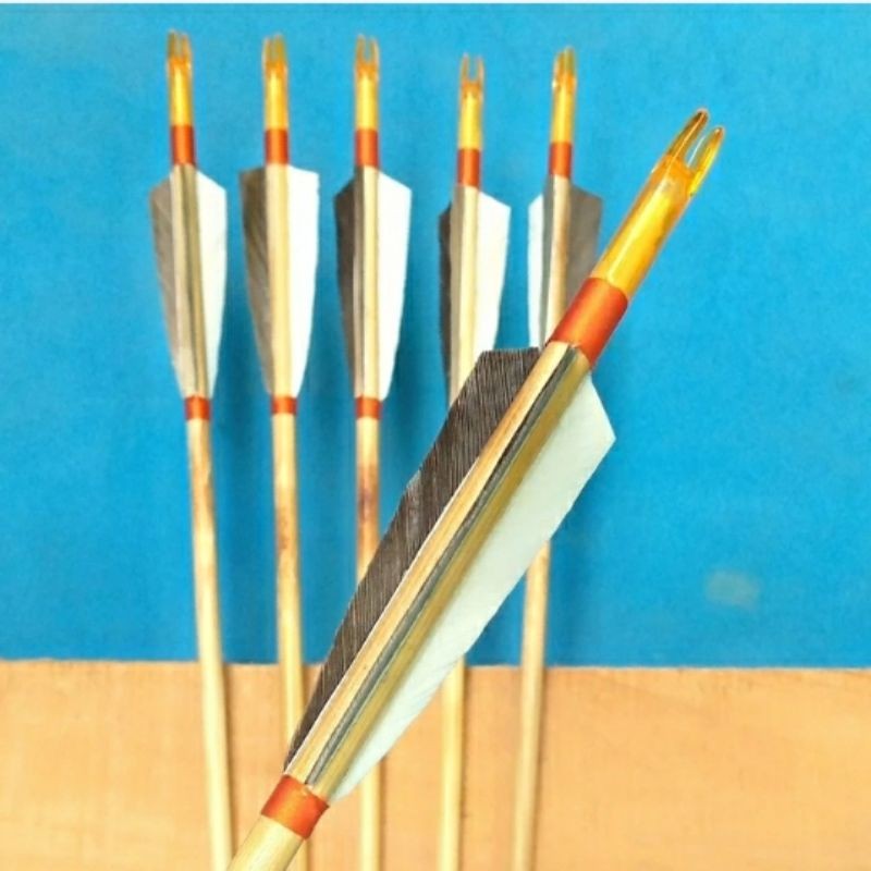 6 arrow ramin nock plastik import bulu entok
