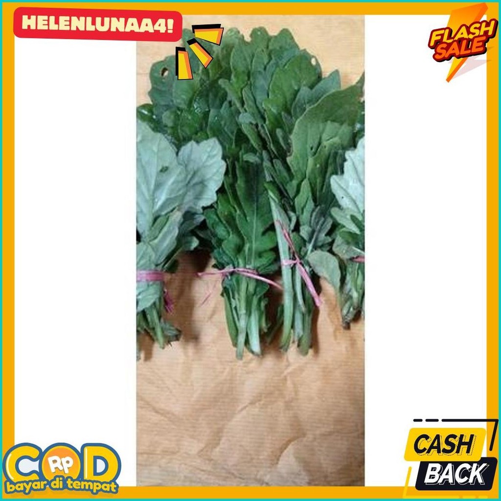 

Daun Dewa Segar 50 Gram Alami Herbal (6.6)