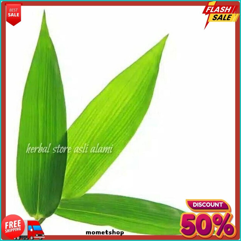 

Daun Bambu Segar Buat Herbal/Bungkus Bacang/Bakcang/Kicang 100 Lbr (Lagi Viral)