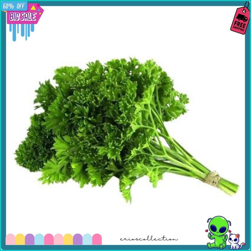 

Daun Parsley Peterseli Segar | Sayur N Co Bekasi (6.6)