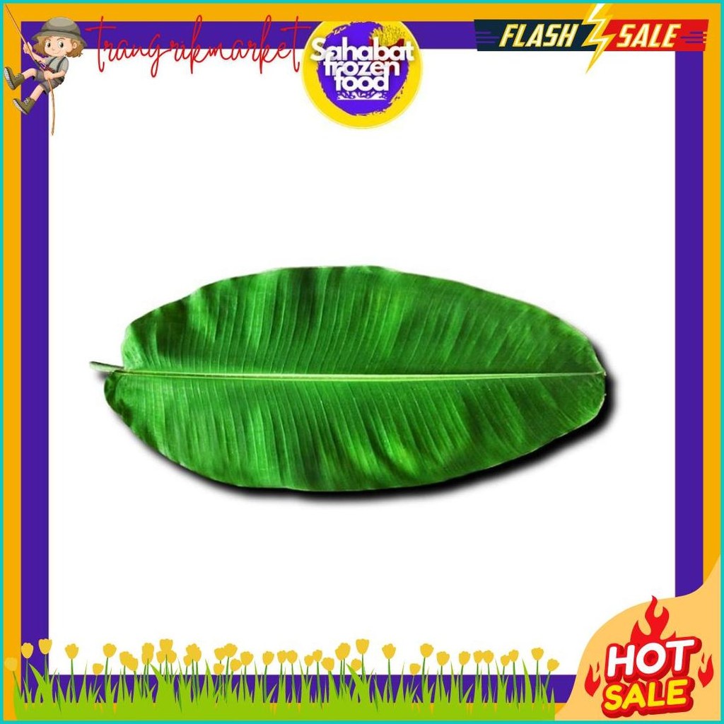 

Daun Pisang Muda Segar 1 Ikat (Lagi Diskon)