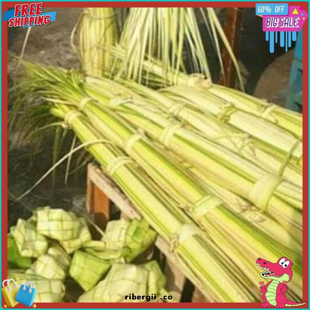 

New Cod Janur Kelapa Atau Daun Kelapa Muda (6.6)