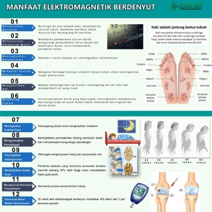 LKJ Alat Terapi Kesehatan Kaki Olylife Thz Tera P90 Itera Bio Ion Foot
