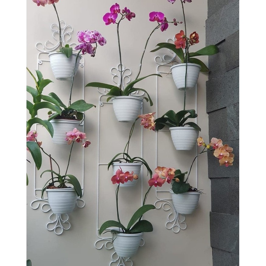 standing pot dinding anggrek / rak bunga besi tempel dinding