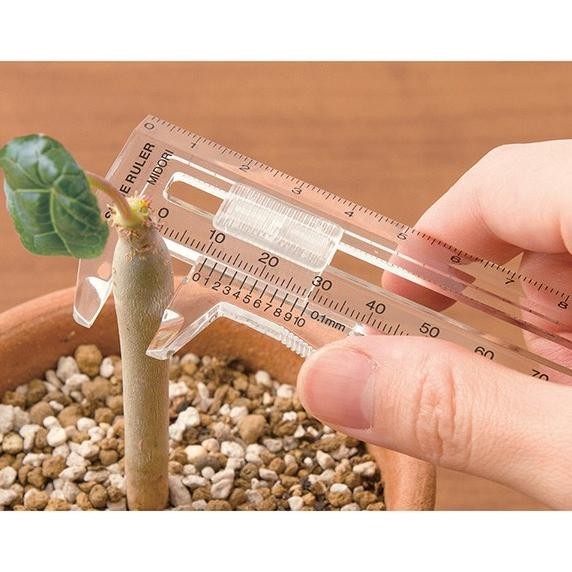 

Midori Slide Ruler Measure Thickness Penggaris Pengukur Ketebalan BPS