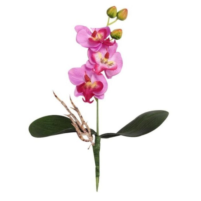 

HG576 Artificial Plant - Orchid_ Phalaenopsis SALE