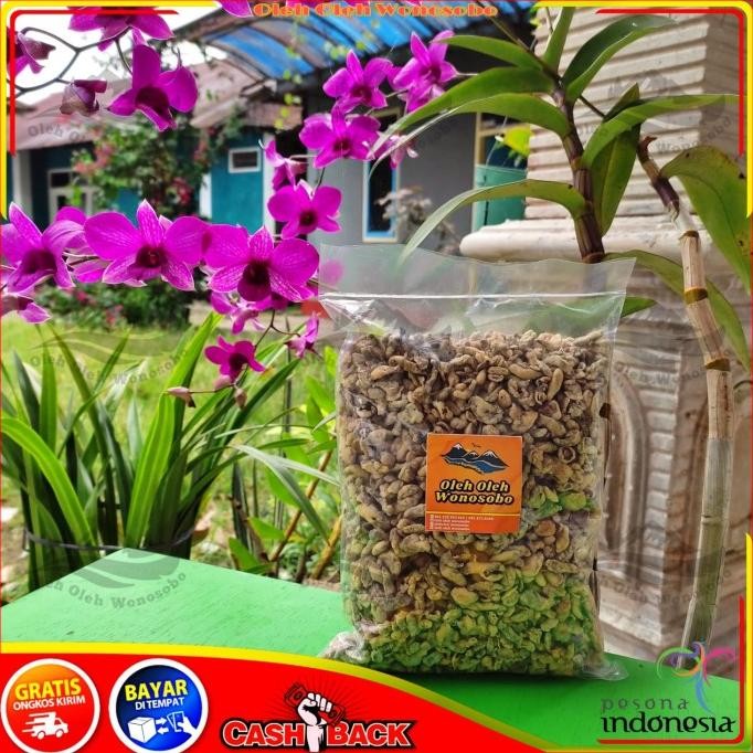 

Ready Keripik Jamur Kancing Oleh Oleh Khas Dieng Wonosobo Termurah