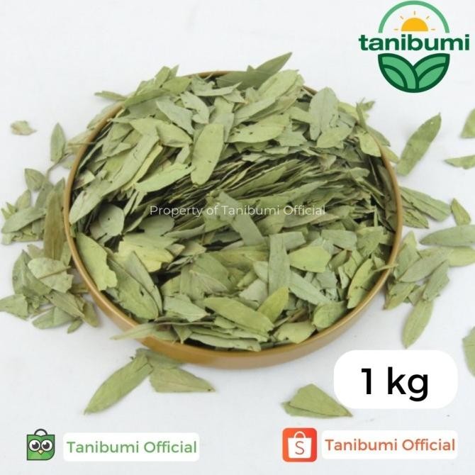 

Limited Edition Termurah Daun Jati Cina | 1kg | Teh Herbal Pelangsing Premium