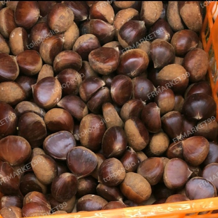 

BOOM SALE kacang chestnut korea mentah 1 kg