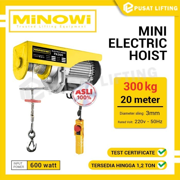 Katrol Listrik 300 Kg Electric Hoist 20 Meter MINOWI Mini Hoist PA 300