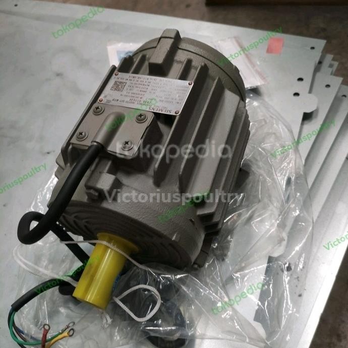 Dinamo Dynamo siemens 3 phase