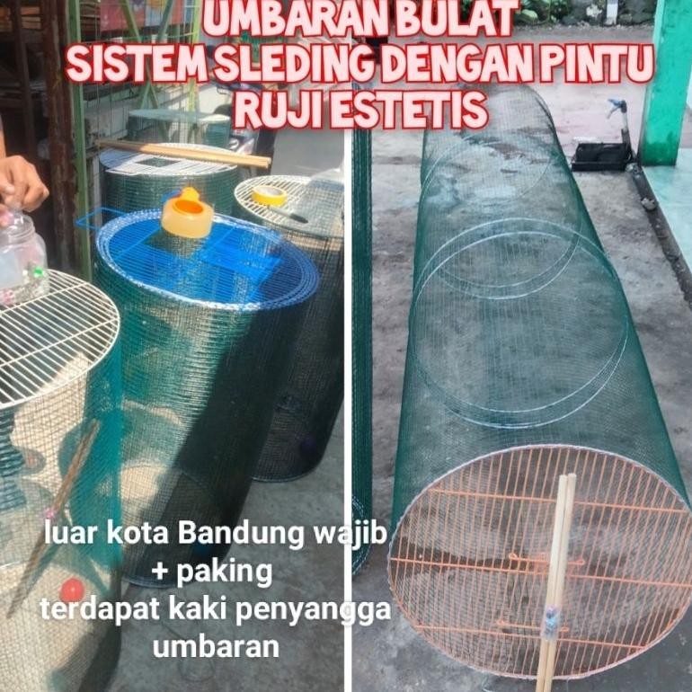 kuliaran / umbaran burung sleding mode diam