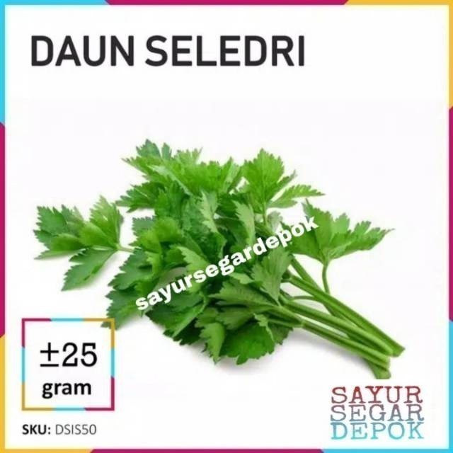 

Daun seledri / sledri sayur segar cilandak