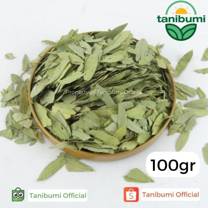 

Terpercaya ! Termurah Daun Jati Cina | 100g | Teh Herbal Pelangsing Premium