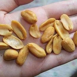 

Kacang Bawang Goreng 1Kg