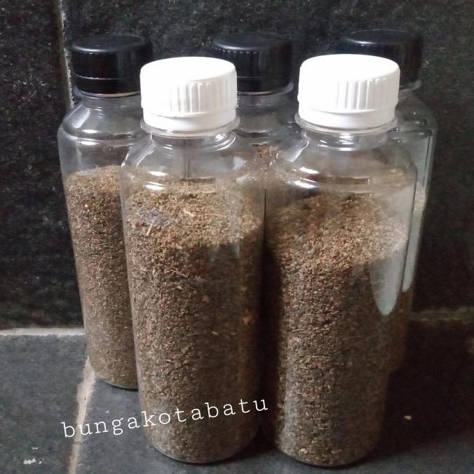 

Benih Sayur Seledri Kemasan 1 Ons COD