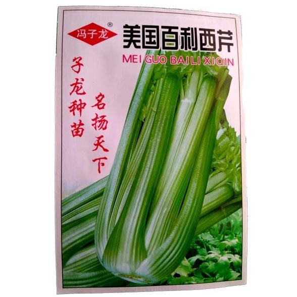 

Celery Sticks - Benih Seledri Stik - 10 gram COD