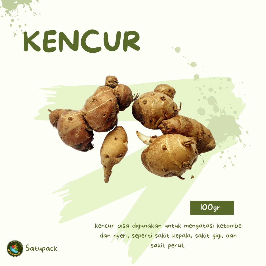 

KENCUR - 100GR