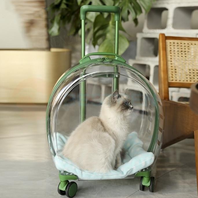 TERBARU - Tas Transparan Kucing Anjing Trolley Cargo Travel Bag Cat Dog Koper
