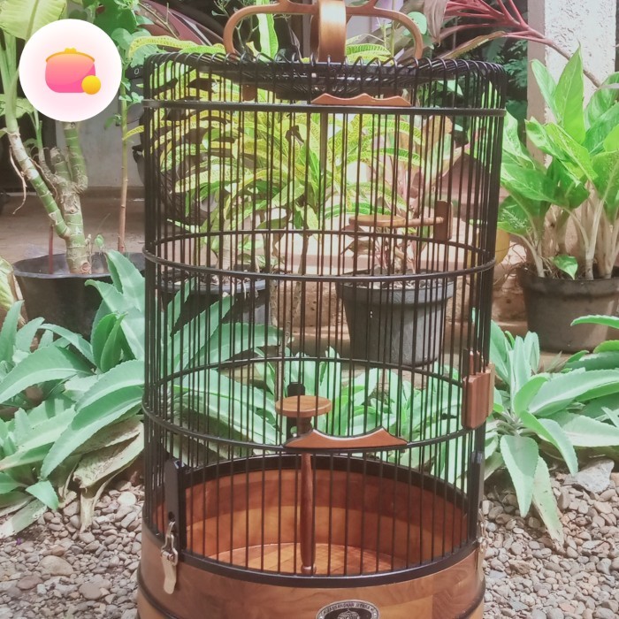 sangkar branjangan jati diameter 38cm