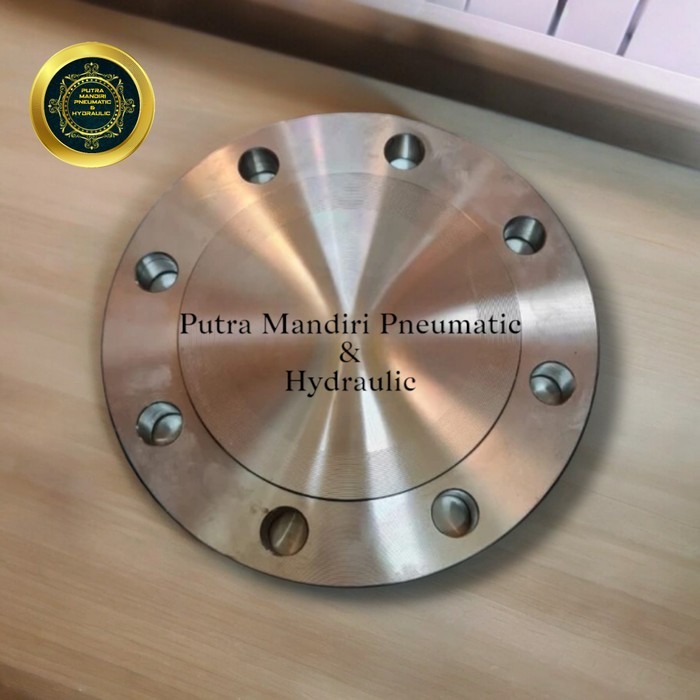 Blind Flange Stainless SS304 ANSI 300 1/2" Inch - Flange Buta SS304